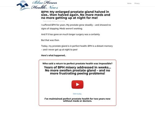 The Prostate Protocol vsl cb | Blue Heron Health News